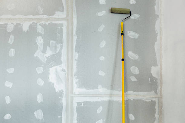 Best Mold Removal for HVAC Installations  in Hebron, IN