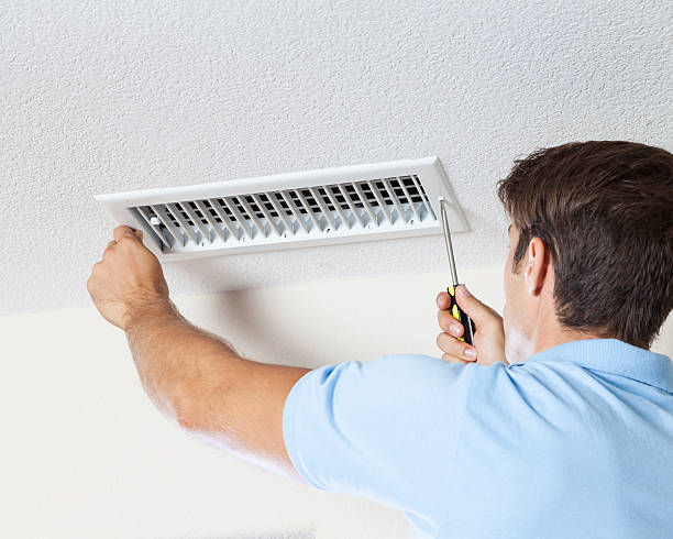 Best Attic Mold Removal  in Hebron, IN