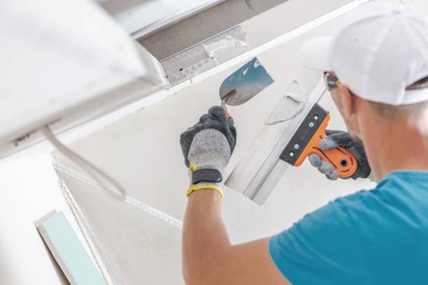 Reliable Hebron, IN Mold Removal Solutions